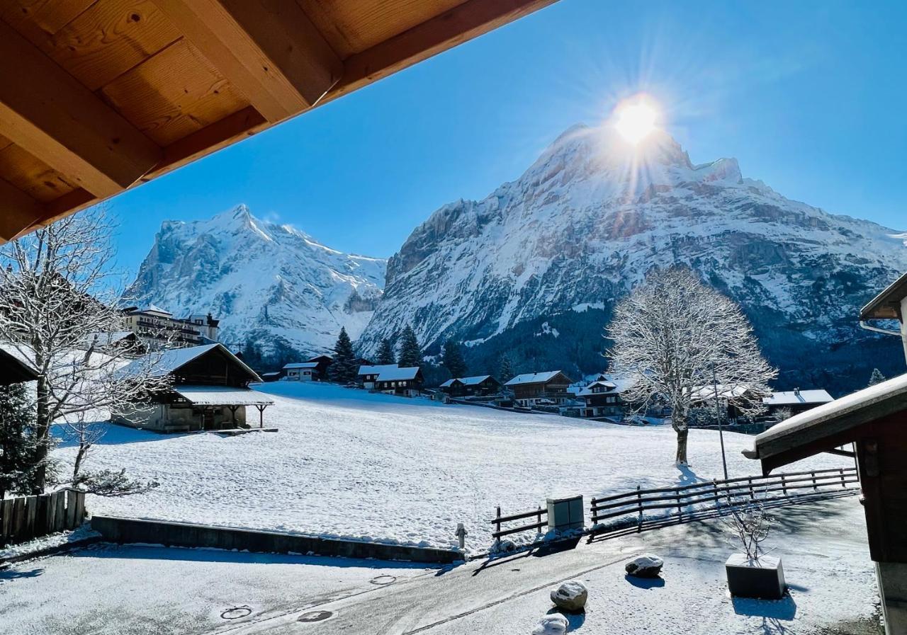 Chalet Carve - Apartments Eiger, Moench And Jungfrau Γκρίντελβαλντ Εξωτερικό φωτογραφία