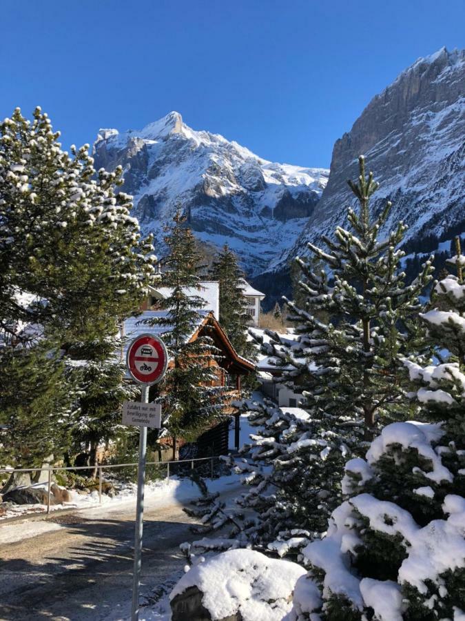 Chalet Carve - Apartments Eiger, Moench And Jungfrau Γκρίντελβαλντ Εξωτερικό φωτογραφία