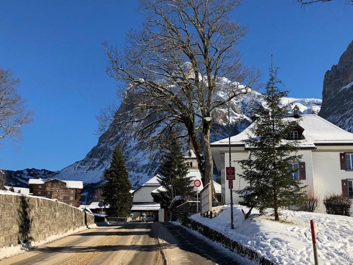 Chalet Carve - Apartments Eiger, Moench And Jungfrau Γκρίντελβαλντ Εξωτερικό φωτογραφία