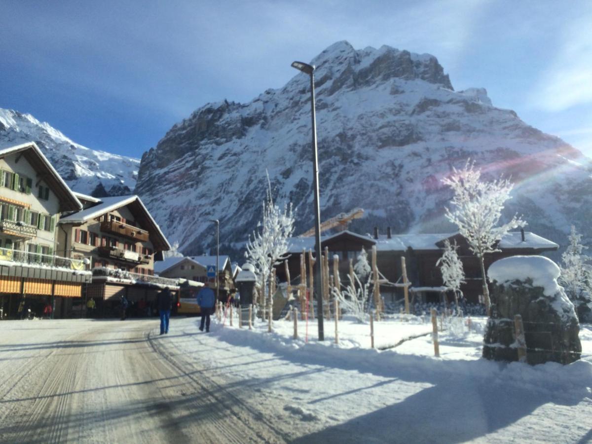 Chalet Carve - Apartments Eiger, Moench And Jungfrau Γκρίντελβαλντ Εξωτερικό φωτογραφία